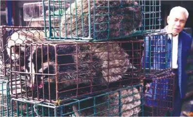  ??  ?? Caged civet cats in a wildlife market in Guangzhou, Guangdong Province in China.