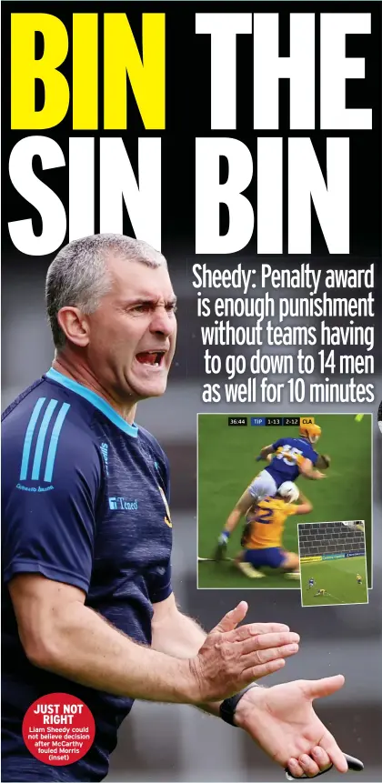  ??  ?? JUST NOT
RIGHT Liam Sheedy could not believe decision after Mccarthy fouled Morris
(inset)