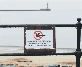  ??  ?? A ‘no chainsaws allowed on the beach’ sign has been installed at Roker.