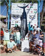  ??  ?? The team’s winning blue marlin was caught just a few hundred yards from the spot where they missed a nice fish the previous day.