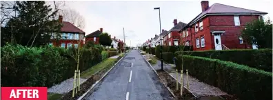  ??  ?? Axed: The trees have been replaced by spindly saplings, leaving the street looking bare AFTER