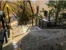  ?? todamo/Getty Images/iStockphot­o ?? among the dead leaves … steps in Mount Royal Park, Montreal. Photograph: