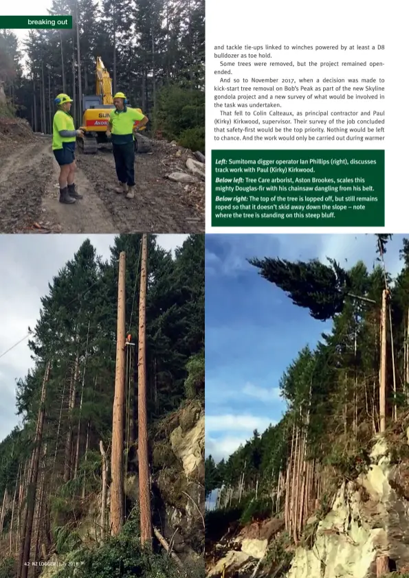  ??  ?? Left: Sumitoma digger operator Ian Phillips (right), discusses track work with Paul (Kirky) Kirkwood.Below left: Tree Care arborist, Aston Brookes, scales this mighty Douglas-fir with his chainsaw dangling from his belt.Below right: The top of the tree is lopped off, but still remains roped so that it doesn’t skid away down the slope – note where the tree is standing on this steep bluff.