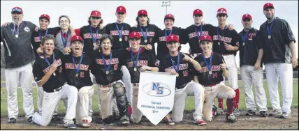  ?? SuBmiTTeD ?? The Truro Bearcats won the Nova Scotia under-18 AAA baseball title after a 6-4 win over the Kentville Wildcats in the final. Members of the team are, front row, from left, Josh Calder, Nate Stone, Mats Stone, Justin Ferguson, Chandler MacKinnon and...