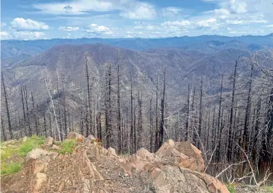 ?? ZACH URNESS/STATESMAN JOURNAL ?? A view of the vast wildfire scar left from the 2020 Beachie Creek Fire.