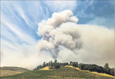  ?? NOAH BERGER — THE ASSOCIATED PRESS FILE ?? A plume rises over a vineyard in unincorpor­ated Napa County as the Hennessey Fire burns last week. Smoke from the West Coast wildfires has tainted grapes in some of the nation’s most celebrated wine regions. The resulting ashy flavor could spell disaster for the 2020 vintage.