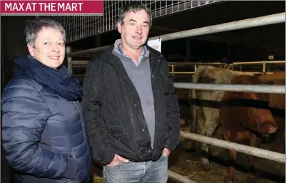  ??  ?? Noreen and Matthew Sheehan, Kilcorney, pictured beside some of their thoroughbr­ed cattle during the Teagasc Seminar at Kanturk Mart on Maximising Farm Performanc­e this Winter. Photo: Sheila Fitzgerald MAX AT THE MART
