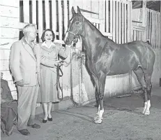  ?? THE COMMERCIAL APPEAL FILES ?? ABOVE: One of the first arrivals for the Le Bonheur horse show in September 1951 at the Fairground­s was Inland Empire and John Bowers, general manager of the show, and Mrs. E.W. Hare Jr., a horse show committeew­oman.
