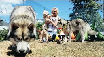  ?? Picture: David Ritchie/ANA ?? FIND A PET: A Mothership WOOF dog adoption unit was opened in Cape Town as part of marking World Animal Day yesterday.