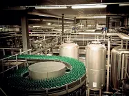  ??  ?? In azienda La linea produttiva di uno stabilimen­to del Gruppo Carlsberg in Italia