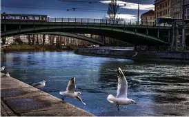  ??  ?? Donaukanal­en flyter genom centrala Wien. På norra sidan låg judehusen dit den judiska befolkning­en förvisades efter Anschluss.