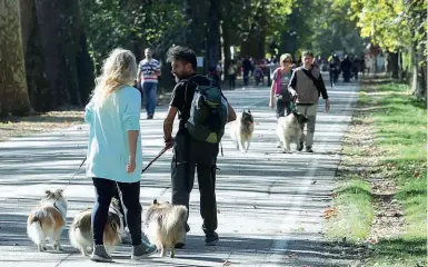  ??  ?? Nel parco Proprietar­i di cani nel Parco di Monza. I casi di cani che hanno aggredito i passanti sono in aumento ( foto Radaelli)