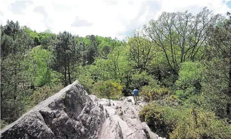  ?? PHOTO : ARCHIVES THIERRY CREUX, OUEST-FRANCE ?? La forêt de Brocéliand­e, lieu mythique, a été décrite par Chrétien de Troyes à la fin du XIIe siècle.|