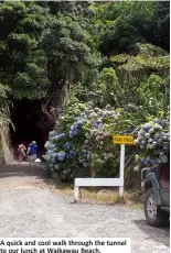  ??  ?? A quick and cool walk through the tunnel to our lunch at Waikawau Beach.