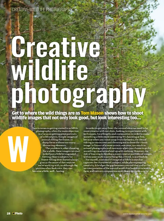 Creative Wildlife Shots Pressreader