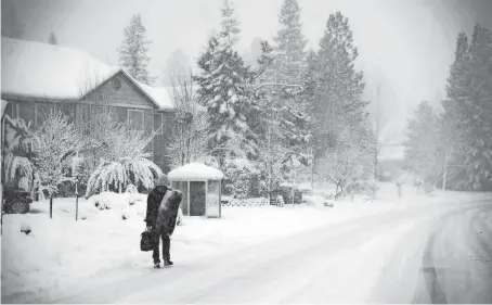  ?? ?? A pedestrian makes their way along Sutton Way in Grass Valley, Calif., during Monday’s snowfall.