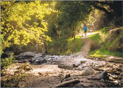  ?? Photograph­s by Jason Armond Los Angeles Times ?? THE TRAIL bordering the Brookside Golf & Country Club takes runners past the brook that gives the Pasadena club its name.