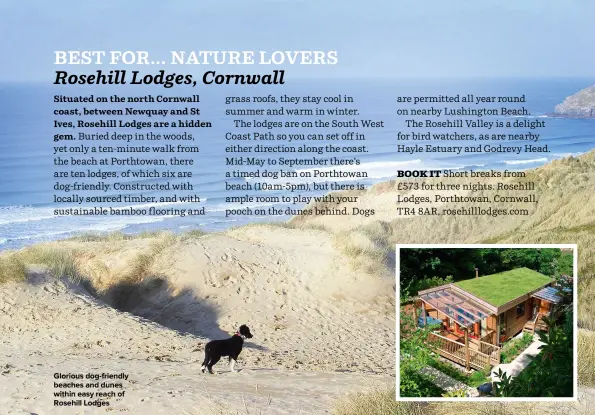  ??  ?? GLORIOUS DOG-FRIENDLY BEACHES AND DUNES WITHIN EASY REACH OF ROSEHILL LODGES