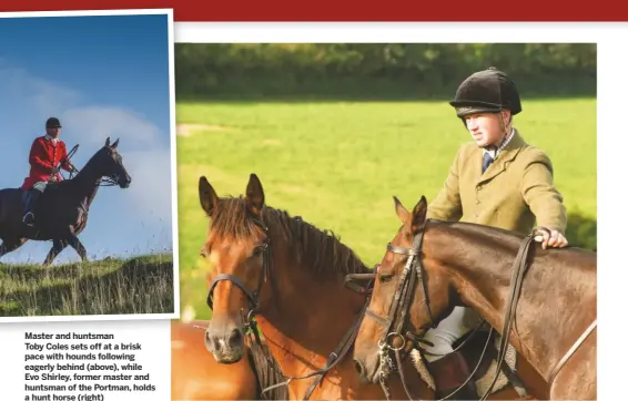  ??  ?? Master and huntsman
Toby Coles sets off at a brisk pace with hounds following eagerly behind (above), while Evo Shirley, former master and huntsman of the Portman, holds a hunt horse (right)