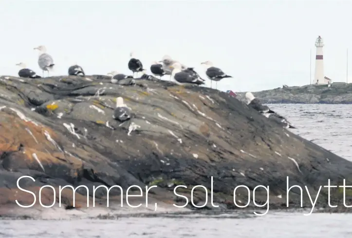  ??  ?? SOMMER: En liten flekk å sette opp teltet på, sol og utsikt. Da er det godt å vaere til, saerlig på idyllen Jerken.