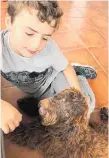  ??  ?? Ten-year-old Sam Falconer, who is autistic, and his comfort dog, 2-year-old labradoodl­e Griffin.