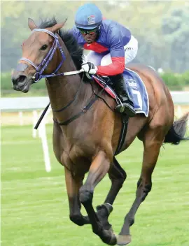  ??  ?? WELL WEIGHTED. Safe Harbour is the best handicappe­d runner in Saturday’s R1-million HSH Princess Charlene Empress Club Stakes (Grade 1) over 1600m at Turffontei­n.