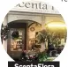  ??  ?? ScentaFlor­a