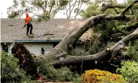  ?? ?? Workers clear a tree that fell onto a home on 4 February 2024, in San Jose, California. Photograph: Noah Berger/AP