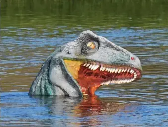  ??  ?? Roar deal: A model T-Rex keeps its head above water in Stourport-on-Severn