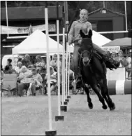  ?? Photograph courtesy of Russ Wilson ?? Alexa Higgins on Sally took first place in the youth pole bending with a time of 26.323 seconds. Alexa also tied for the youth Negel Hall Memorial Award for earning the most points in various events throughout the day.