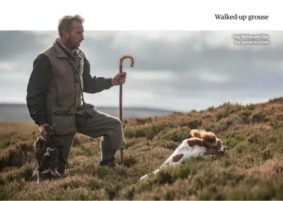  ?? ?? Paul Walton and Ollie the spaniel in action