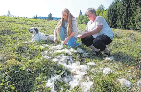  ?? FOTO: MATTHIAS BECKER ?? Alexandra Hauf und ihre Tochter Magdalena vermuten, dass ein Wolf ihre Schafe gerissen hat.