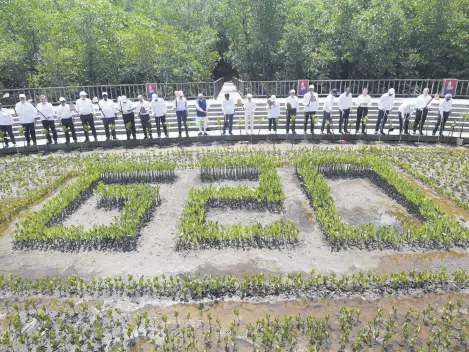  ?? ?? Leaders of the G-20 and internatio­nal organizati­ons lift their hoes after planting mangroves at the G-20 summit, Bali, Indonesia, Nov. 16, 2022.