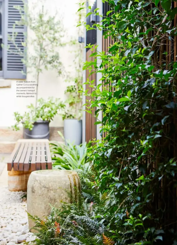  ??  ?? A water feature from Gather Co is a soothing accompanim­ent for the owners’ tranquil moments. Behind it is white bougainvil­lea.