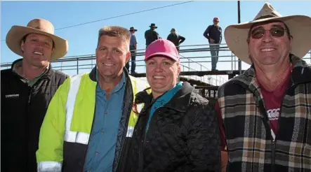  ?? PHOTO: MEGAN MASTERS ?? NICE MORNING: Checking out the offering at the Elders Toowoomba Saleyards are (from left) Andrew Costello, Brad Setch, Rowen Setch and Damien Dwyer.