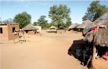  ??  ?? Part of Mujaji's homestead is a typical rural compound with 24 huts and six two-roomed houses. (Pictures by Tinai Nyadzayo).