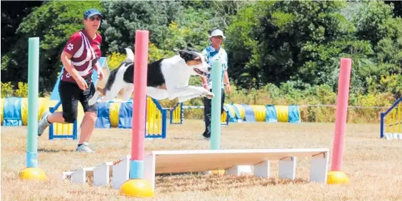  ?? Photo / In The Moment Photograph­y ?? Jo Mansfield and her agility dog Stella back in competitio­n action in January 2022, after all the cancer dramas.