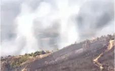  ??  ?? As chamas destruíram cerca de mil metros de floresta, sobretudo no lugar de Castanheir­a, na União de Freguesias das Argas, na serra d’Arga.