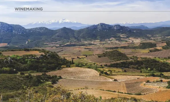  ??  ?? Above: vineyards in Maury, Roussillon, with the Pyrenees and Canigou mountain in the distance