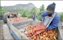  ??  ?? DAMAGED GOODS: Farmworker Aphiwe Iliwe empties damaged nectarines into a crate at Ou Stasie farm near Ceres.