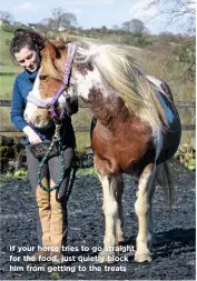  ??  ?? If your horse tries to go straight for the food, just quietly block him from getting to the treats