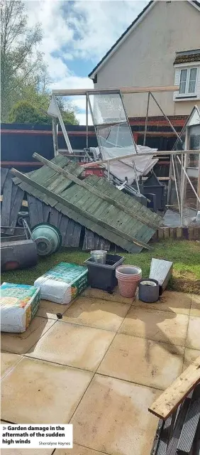  ?? Sherralyne Haynes ?? > Garden damage in the aftermath of the sudden high winds