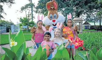  ?? Picture: Supplied ?? SWEET GRASSES Get the little ones ready for the Easter Egg hunt at the Botanic Gardens.