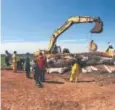  ?? The Canadian Press ?? Marine mammal experts examine a dead North Atlantic right whale on Prince Edward Island in Canada.