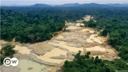  ??  ?? Deforestac­ión ilegal en la Amazonía brasileña.
