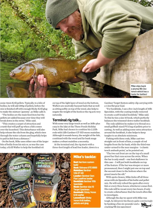  ??  ?? Mike slips back a plump 9lb 2oz tench which has a taste for boilies!