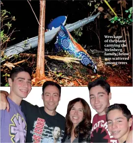  ?? PHOTO: GETTY IMAGES ?? Wreckage of the plane carrying the Steinberg family (below) was scattered among trees