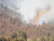  ?? JUSTIN GARCIA /THE LAS CRUCES SUN NEWS ?? Trees ignite as a wildfire spills down a mountainsi­de Wednesday near Ruidoso, New Mexico. Two people have died in the wildfire.