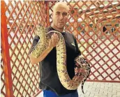  ?? Picture: SUPPLIED ?? EXOTIC ALIEN: Eleven more snakes found at an illegal snake pit have joined this Columbian boa constricto­r at Venom Snake Pit Park. Police found the constricto­r in a car in the EL CBD on Monday.