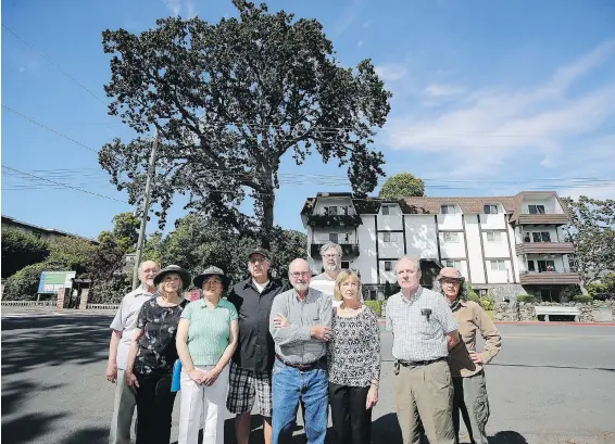  ??  ?? Peter Green, left, Wendy Wiley, Jan Li, Ron Noel, John Tiffany, Marilyn Noel, Maurice Lagasse, Mike Wilmut and Nancy Barnes are members of the campaign to save the Garry oak tree at 2326 Oak Bay Ave. The tree is estimated to be betweden 125 and 150...